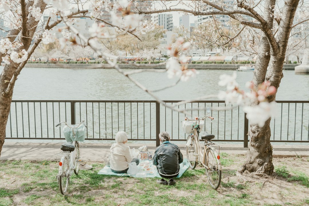 seniors at cherry blossom viewing