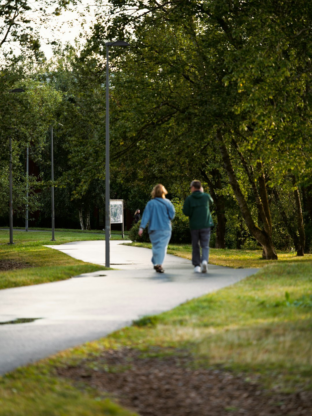 elderly people walking in park