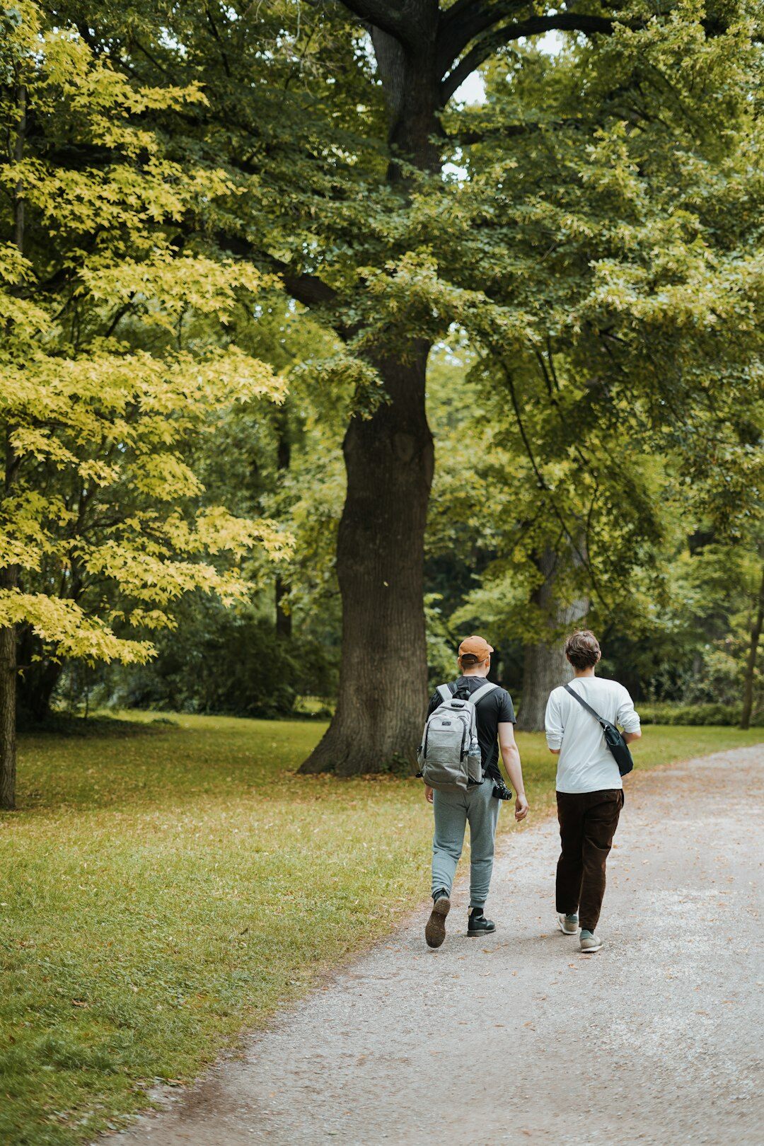 senior people walking in park